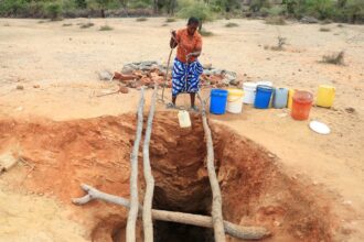 Worst drought in century devastates Southern Africa with millions at risk