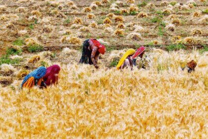 In July, union finance minister Nirmala Sitharaman announced major reforms about land, labour, and technology in her budget speech.