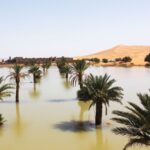 Sahara Desert witnesses severe flooding after September rainfall; lake Iriqui filled with water first time in 50 years