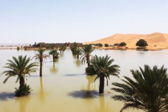 Sahara Desert witnesses severe flooding after September rainfall; lake Iriqui filled with water first time in 50 years