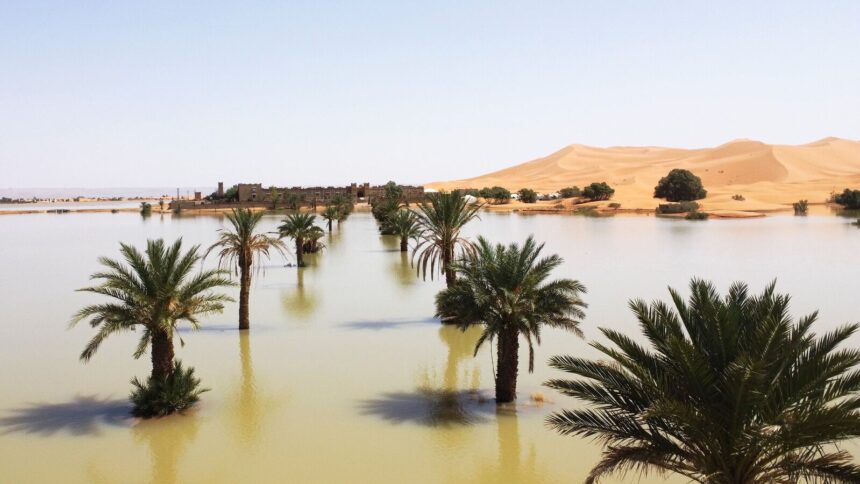 Sahara Desert witnesses severe flooding after September rainfall; lake Iriqui filled with water first time in 50 years