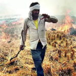 In SC, Punjab blames centre; Haryana lists rewards, fines to curb farm fires