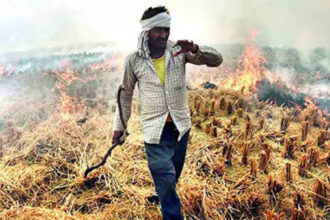 In SC, Punjab blames centre; Haryana lists rewards, fines to curb farm fires