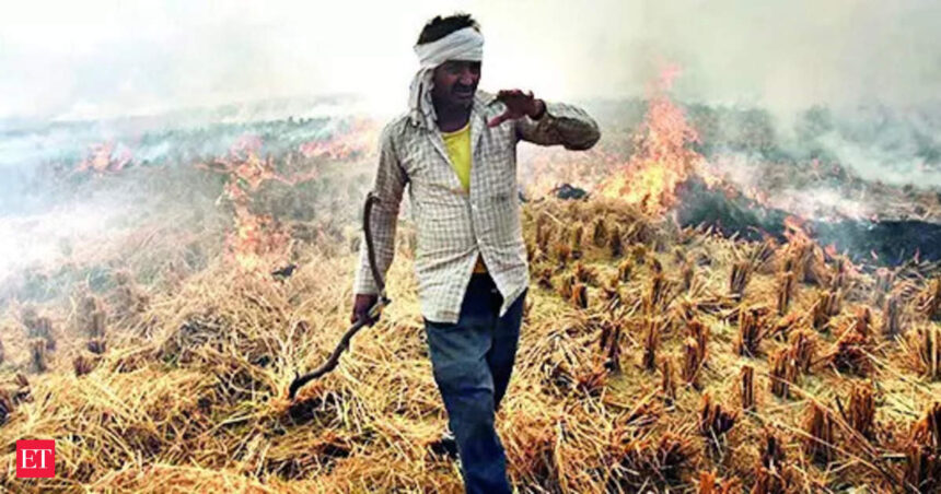 In SC, Punjab blames centre; Haryana lists rewards, fines to curb farm fires