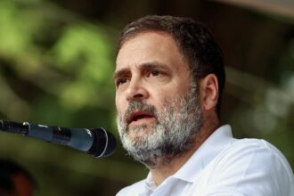 Congress leader and Lok Sabha LoP Rahul Gandhi addresses the public meeting before nomination filing of party general secretary Priyanka Gandhi Vadra for the Wayanad by-elections, on Wednesday. (ANI Photo)