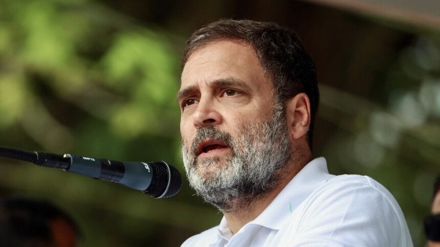 Congress leader and Lok Sabha LoP Rahul Gandhi addresses the public meeting before nomination filing of party general secretary Priyanka Gandhi Vadra for the Wayanad by-elections, on Wednesday. (ANI Photo)