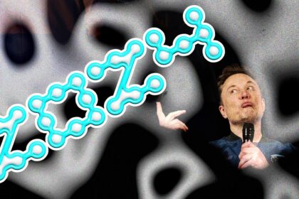 This Was the Year Elon Musk Took Over Politics