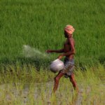 Indian fertilizer firms to sign MoU with suppliers in Togo soon