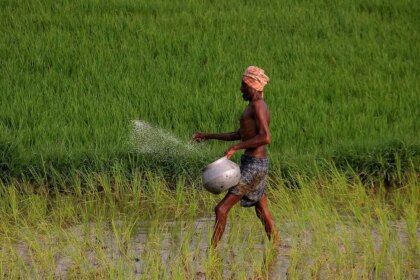 Indian fertilizer firms to sign MoU with suppliers in Togo soon