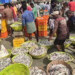 Parliamentary panel asks Govt to reach out to 2 cr unregistered fish farmers