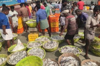 Parliamentary panel asks Govt to reach out to 2 cr unregistered fish farmers