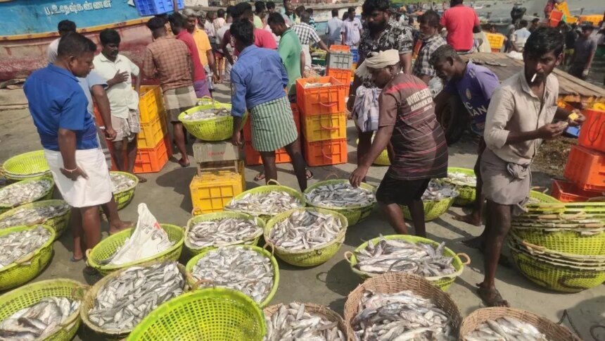 Parliamentary panel asks Govt to reach out to 2 cr unregistered fish farmers