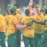 SA vs PAK 1st ODI Pitch Report: How will surface at Boland Park in Paarl play?