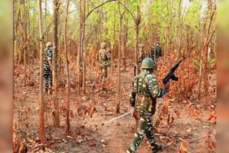 12 Naxals killed in encounter in Chhattisgarh's south Bastar