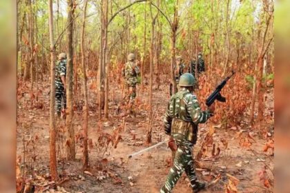 12 Naxals killed in encounter in Chhattisgarh's south Bastar