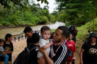 Panama reports sharp drop in irregular migration through Darien Gap