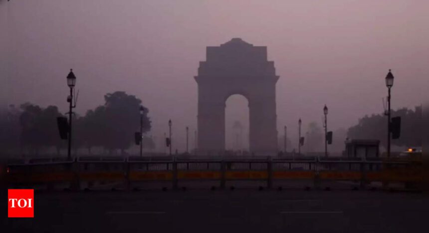 Delhi pollution: Centre imposes GRAP 4 restrictions as air quality worsens in Capital