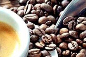 Exporters project record coffee output for 2024-25 at 3.8 lakh tonnes