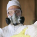 The First US Bird Flu Death Is a Stark Warning