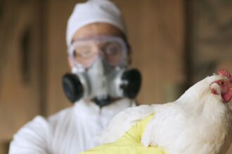 The First US Bird Flu Death Is a Stark Warning