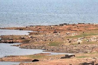 With 86% of India rainfall deficient, storage in key reservoirs down further