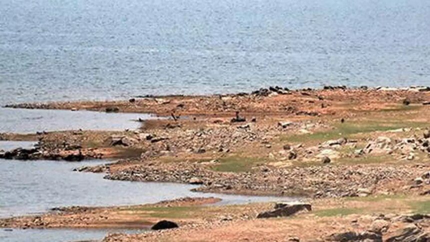 With 86% of India rainfall deficient, storage in key reservoirs down further