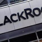 Indian equities not immune to global risk-off moves: BlackRock Investment Institute