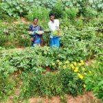 Kuppam goes green: Naidu’s Constituency Kuppam embraces organic farming