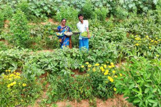 Kuppam goes green: Naidu’s Constituency Kuppam embraces organic farming