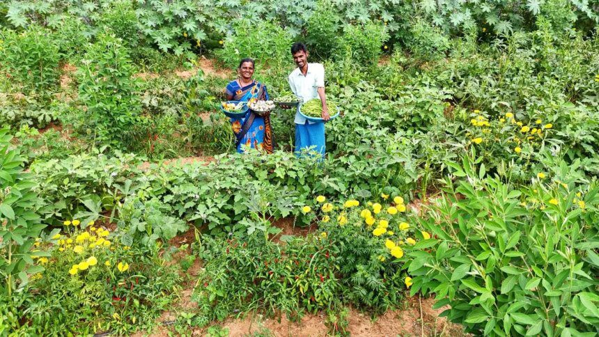 Kuppam goes green: Naidu’s Constituency Kuppam embraces organic farming