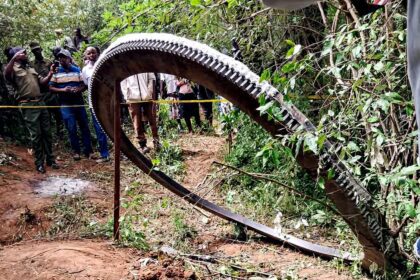 A Glowing Metal Ring Crashed to Earth. No One Knows Where It Came From