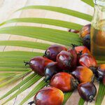 Pricey palm oil may lose market share to soft oils, says Asian Palm Oil Alliance chief