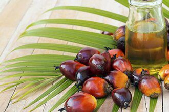 Pricey palm oil may lose market share to soft oils, says Asian Palm Oil Alliance chief