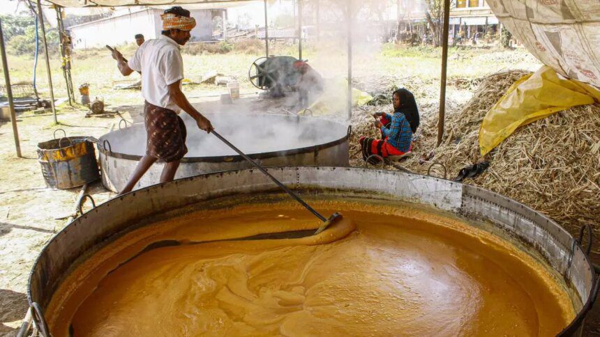 Jaggery making hits sweet spot with use of solar power