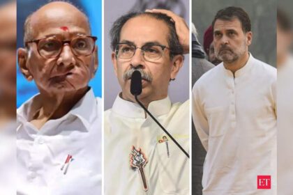 'State elections not on agenda for INDIA bloc': Sharad Pawar’s remarks fuel MVA rift amid Shiv Sena's (UBT) solo move