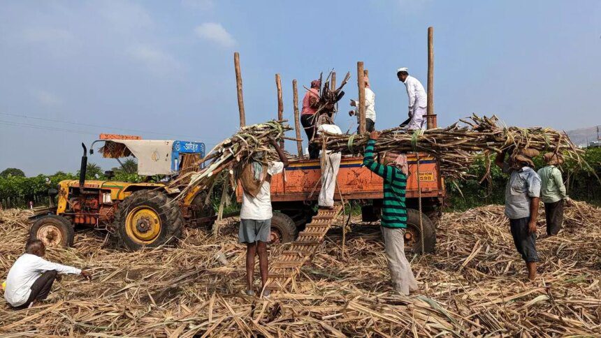 Sugar crushing season may end early on sugarcane shortage in Maharashtra, Karnataka