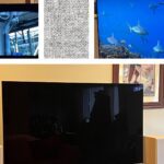 The 13 Best TVs We’ve Reviewed, Plus Buying Advice (2025)