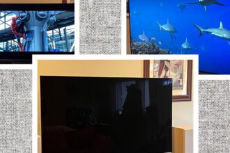 The 13 Best TVs We’ve Reviewed, Plus Buying Advice (2025)