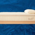 Best Organic Mattress & Bedding of 2025: Nontoxic, Natural Sleep