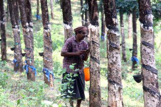 Online rubber trading platform mRube records sales worth ₹512 crore since June 2022