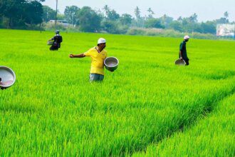 Indian agri, commodities sector see Budget providing impetus to farmers’ welfare, rural economy