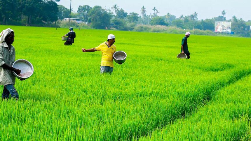 Indian agri, commodities sector see Budget providing impetus to farmers’ welfare, rural economy