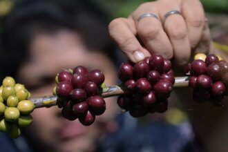 Coffee drinkers, get ready to pay more for the cuppa