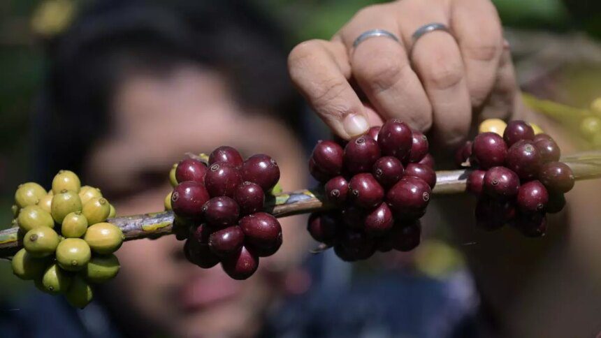 Coffee drinkers, get ready to pay more for the cuppa