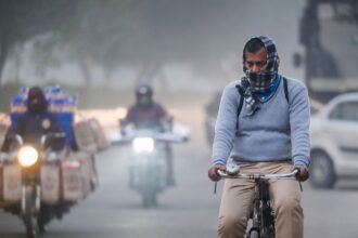 Delhi election: Why our voting system could be bad for the air quality