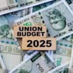 Promising, yet what’s missing in the union budget 2025: Experts react