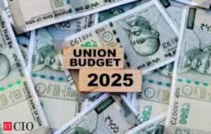 Promising, yet what’s missing in the union budget 2025: Experts react