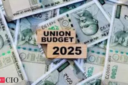 Promising, yet what’s missing in the union budget 2025: Experts react