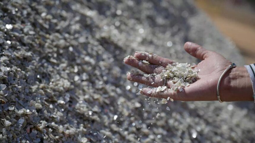 Govt doubles down on rare earth elements’ extraction to boost clean energy supply chains