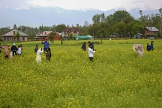 India’s wheat crop may be hit by below-normal rainfall in February, says IMD